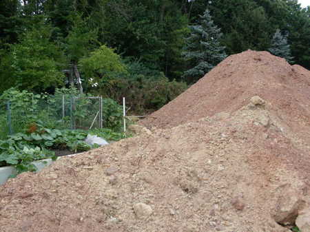 Garden.jpg