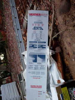 SDC10825.jpg