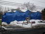 tarped.jpg